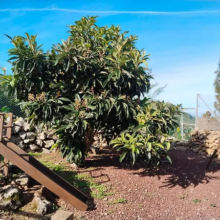 Huertos Conect With The Nature & Relax 度假居 伊科德·德·洛斯·维诺斯