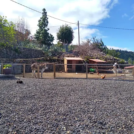 度假居 Huertos Conect With The Nature & Relax 伊科德·德·洛斯·维诺斯