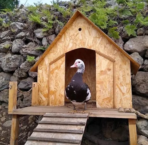 Huertos Conect With The Nature & Relax 伊科德·德·洛斯·维诺斯