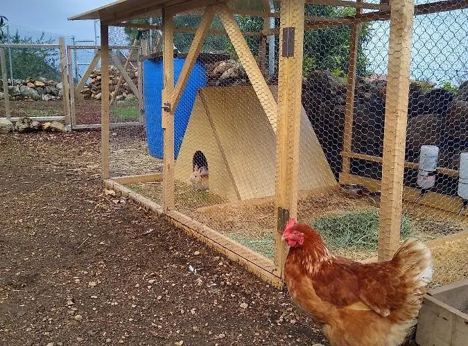 Huertos Conect With The Nature & Relax * 伊科德·德·洛斯·维诺斯