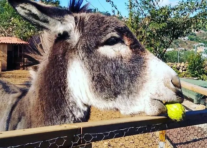 Huertos Conect With The Nature & Relax 度假居