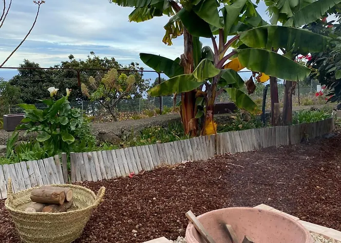 Huertos Conect With The Nature & Relax 伊科德·德·洛斯·维诺斯