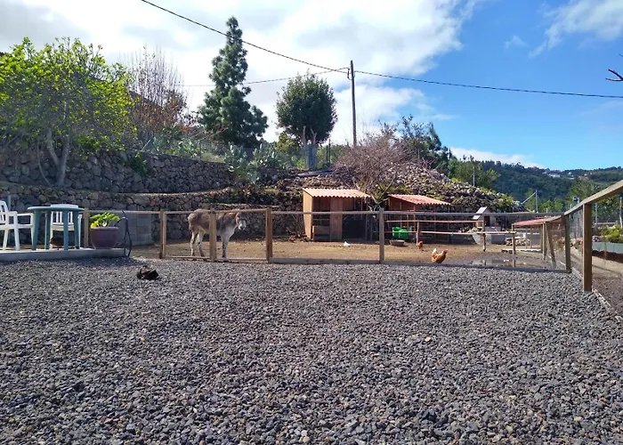 度假居 Huertos Conect With The Nature & Relax 伊科德·德·洛斯·维诺斯