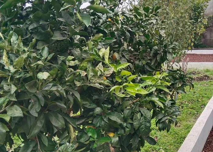 Huertos Conect With The Nature & Relax * 伊科德·德·洛斯·维诺斯